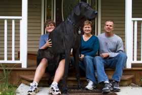 Zeus sits on Nicholas Doorlag as Denise and Kevin Doorlag sit close by on Sept. 18, 2012 in Otsego, Mich.
