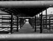 slaughterhouse-329350_1280.jpg