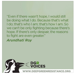 DGR quote from Arundhati Roy  2013-05-08 at 10.00.29 AM