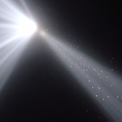 Birds fly through the Sept. 11 memorial, "Tribute in Light."