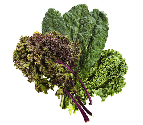Our carefully selected medley of baby kale leaves are tender and sweet to enjoy raw in a salad or be cooked traditionally like more mature varieties. Packed with nutrients and antioxidants, this 'superfood' is in the same family as cabbage, broccoli and cauliflower.