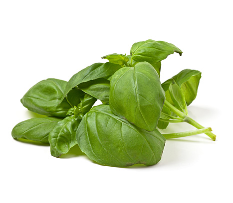 Our sweet Basil is a fragrant and bright addition to salads, pastas and pestos. It’s rich in flavor as well as Vitamin A and beta carotene. Originated in India 5000 years ago, Basil plays a significant role in diverse cuisines and cultures across the world. This aromatic, ‘royal’ herb is best stored at 50F.