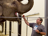 A photo of Jim Laurita, founder of Hope Elephants, who died recently.