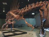140911-spinosaurus-discovery-vin.jpg