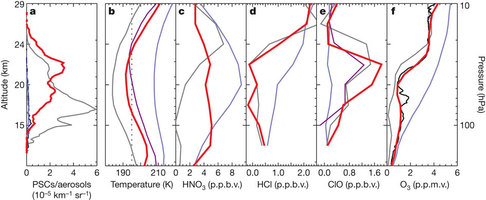 Vertical composition information.