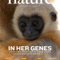 Cover page of Nature magazine featuring the "Gibbon genome and the fast karyotype evolution of small apes" article. (Courtesy photo)