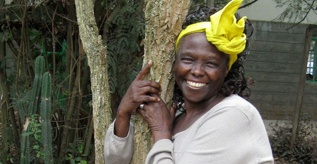 Heartfelt tributes were received from world leaders and friends after Professor Wangari Maathai passed away.