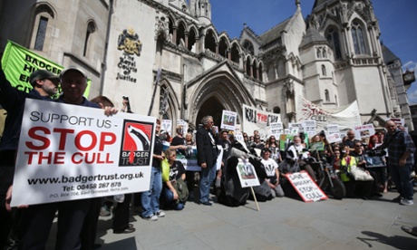 File photo dated 21/08/14 of protesters from The Badger Trust who have won permission to appeal a ruling over the legality of the latest badger culls, which started on Monday, September 10, 2014. Last month it lost an 11th-hour High Court legal battle arising from the Government go-ahead for a second year of 