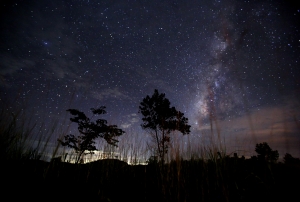 Starry, starry night: the Perseid meteor shower seen from Burma, 2013. Photo: Getty