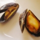 Mussels Lose Footing in More Acidic Ocean