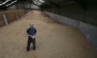 Andrew Barr in Wheat Grain store - Wheat (in hands) and Oats on his farm near Lenham, Kent. Field, stubble after harvest, 4 September 2014.