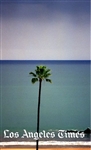 California Coast - Palm Tree