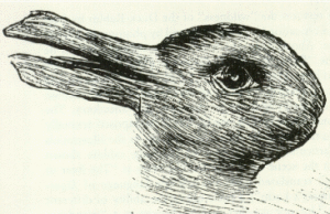 duck-rabbitt