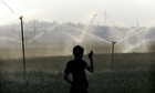 Boy silhouetted in field where water jets come out of standing poles