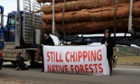 Tasmania logging protest