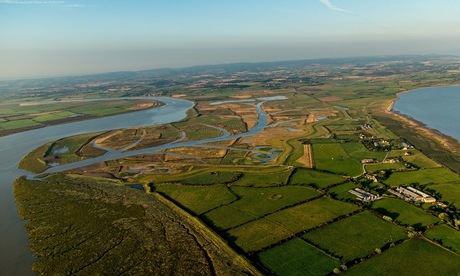 Aerial view Steart Marshes