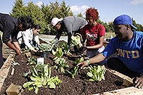 (left to right) UNT Dallas students plant an exhibition garden at UNT Dallas Nov. 10.