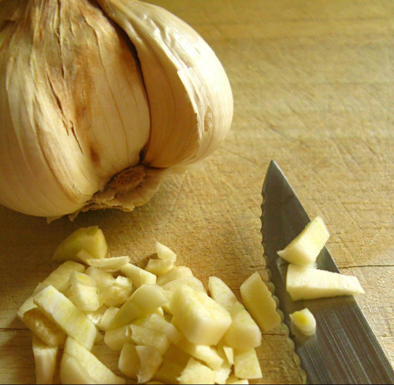 Garlic