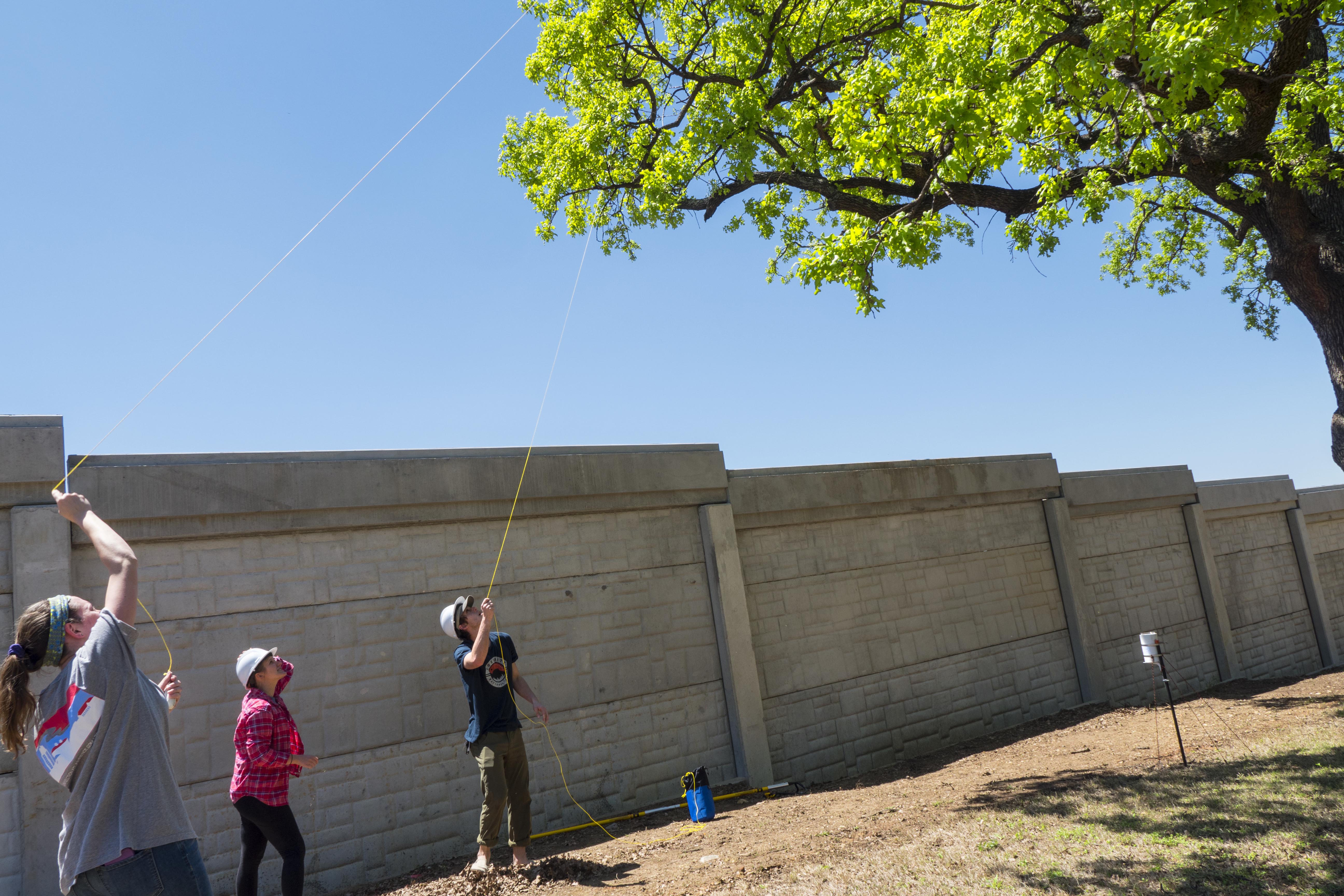 Researchers at the University of North Texas have found that two oak tree species, widespread across the U.S. South, remove black carbon from the urban atmosphere. 