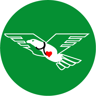 Dr. Eagle Logo