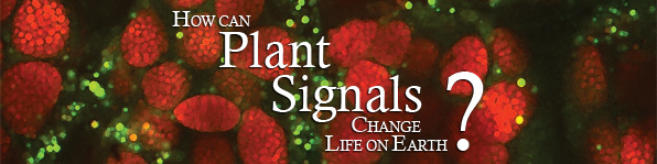 How can Plant Signals Change Life on Earth?