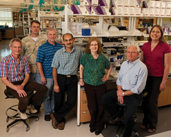 Researchers in UNT's Signaling Mechanisms in Plants cluster