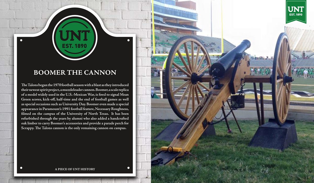 Boomer the Cannon