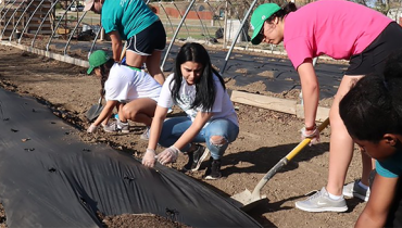 students volunteering in garden