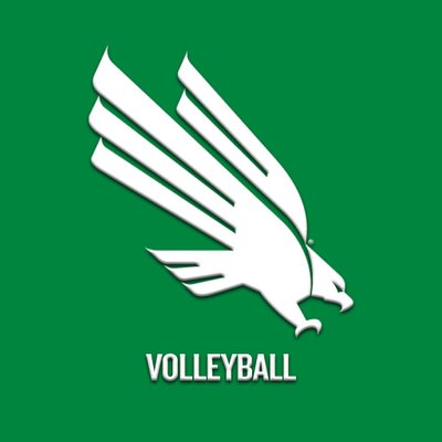 Mean Green Volleyball