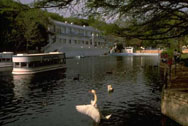 Aquarena Springs