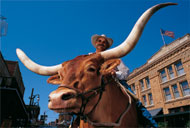 Fort Worth Stockyards