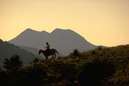 Two wanderers on the South Double Diamond Ranch.