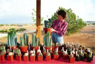 Chihuahuan Desert Visitor Center in Fort Davis