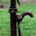 Small image of a water pump