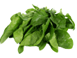 Spinach Image