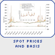 Spot Prices and Basis