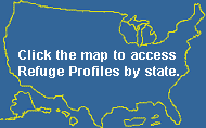 Map outline of the United States and territories