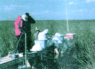 photo of scientist at sampling site