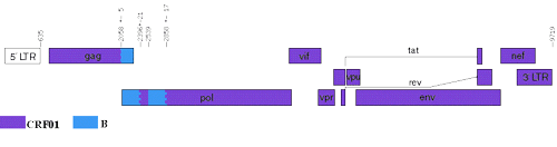 map of CRF33