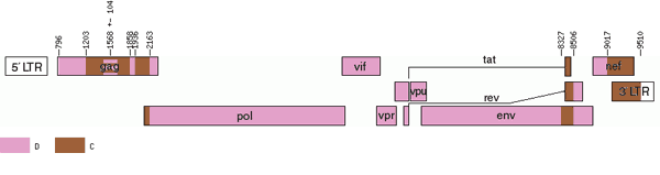 map of CRF41