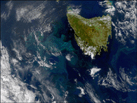 NASA's SeaWiFS satellite photographed this massive phytoplankton bloom off the coast of Tasmania in November 2000.