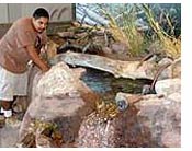 Rio Grande Cutthroat Trout Stream exhibit