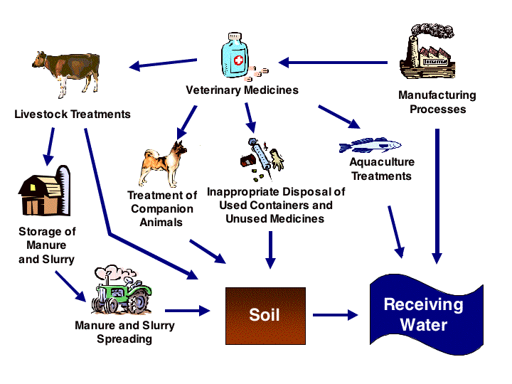 Pathways figure