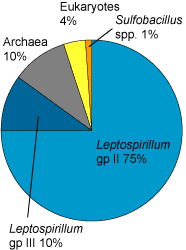 pie chart of community members