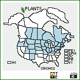 Distribution of Crataegus chrysocarpa Ashe var. chrysocarpa. . Image Available. 