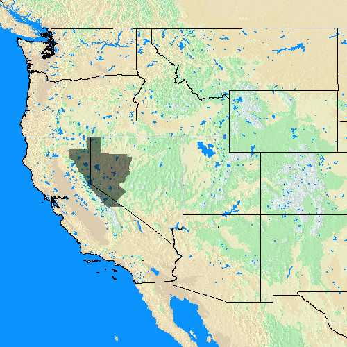 Domain Coverage for Reno, NV