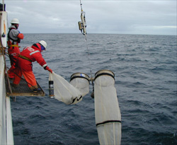 bongo net sampling