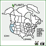 Distribution of Lilium pardalinum Kellogg ssp. wigginsii (Beane & Vollmer) M.W. Skinner. . Image Available. 