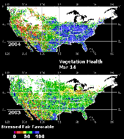 vegetation and temperature