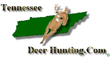 Tennessee Deer Hunting.Com